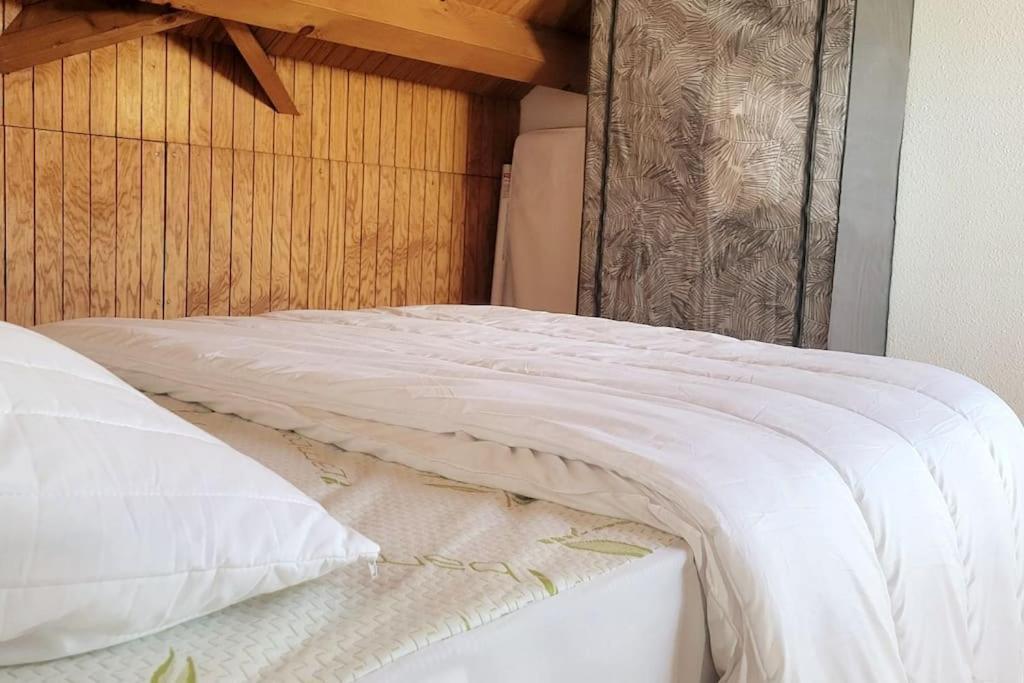 Duplex 4/6P Le Familial Apartment Laveissiere Bagian luar foto